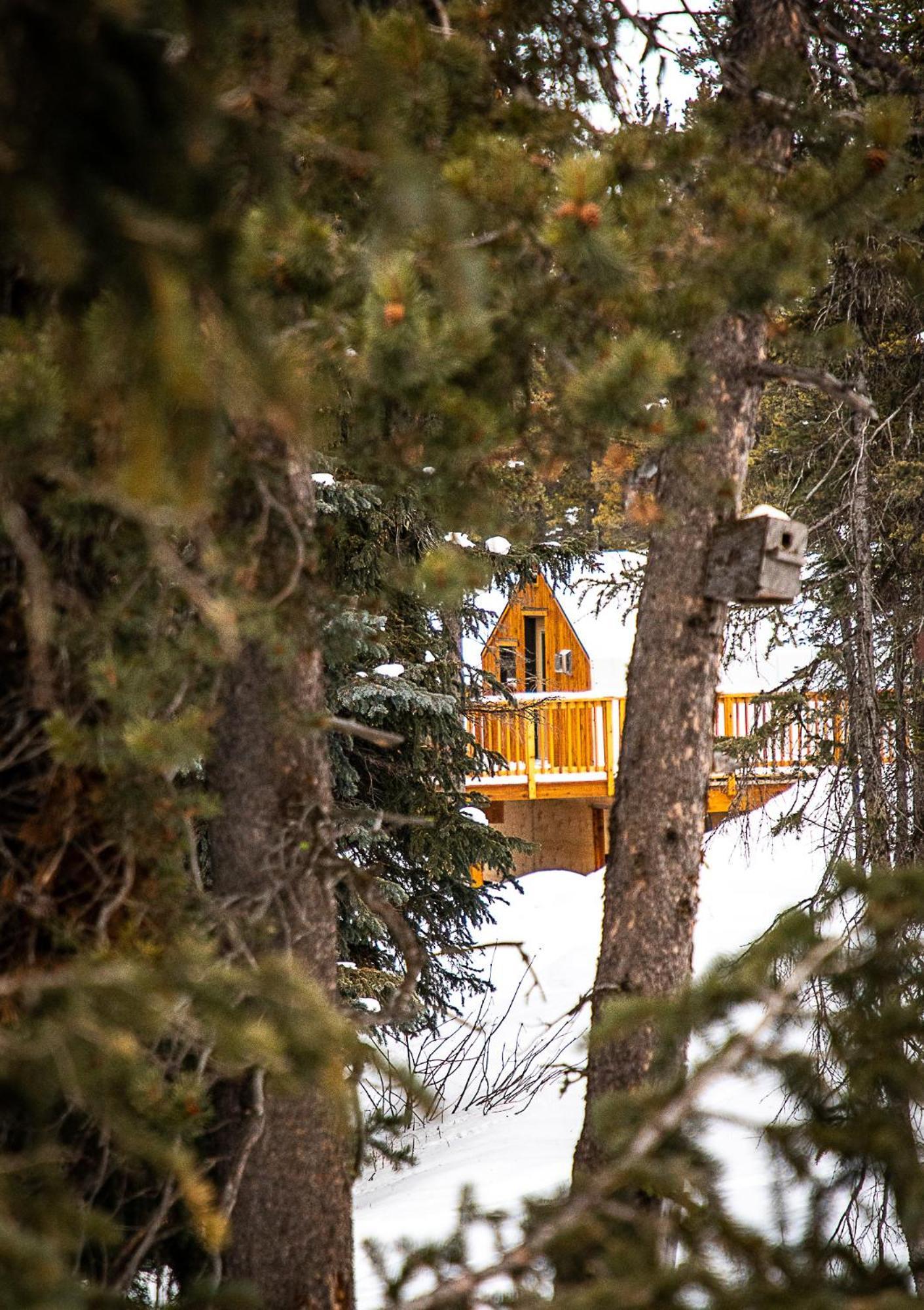 Mount Engadine Lodge Kananaskis ภายนอก รูปภาพ
